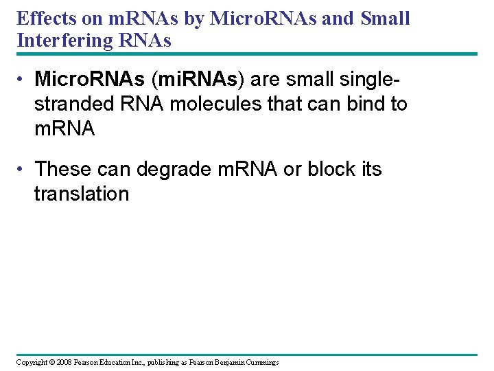 Effects on m. RNAs by Micro. RNAs and Small Interfering RNAs • Micro. RNAs