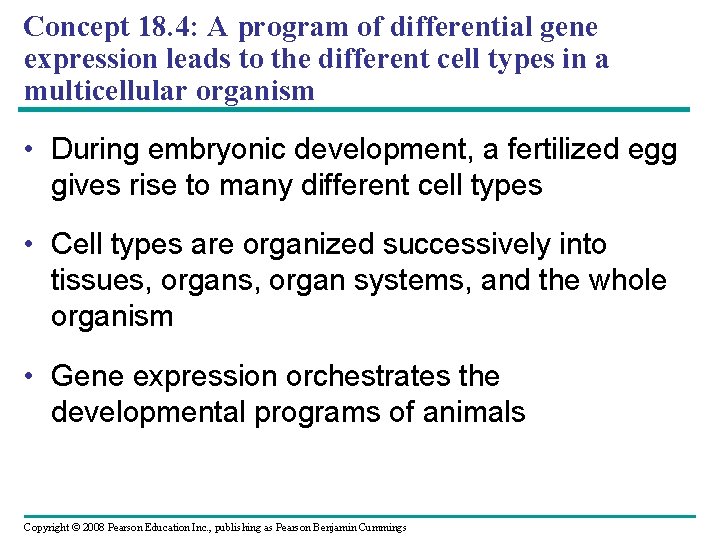Concept 18. 4: A program of differential gene expression leads to the different cell