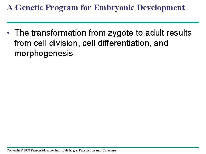 A Genetic Program for Embryonic Development • The transformation from zygote to adult results