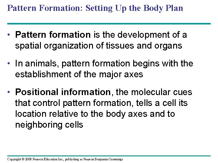 Pattern Formation: Setting Up the Body Plan • Pattern formation is the development of