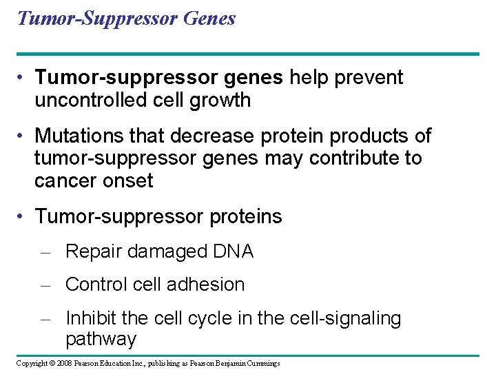 Tumor-Suppressor Genes • Tumor-suppressor genes help prevent uncontrolled cell growth • Mutations that decrease