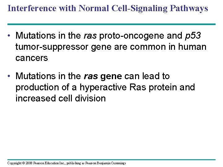 Interference with Normal Cell-Signaling Pathways • Mutations in the ras proto-oncogene and p 53