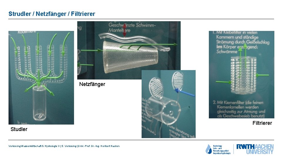 Strudler / Netzfänger / Filtrierer Netzfänger Filtrierer Studler Vorlesung Wasserwirtschaft & Hydrologie II |