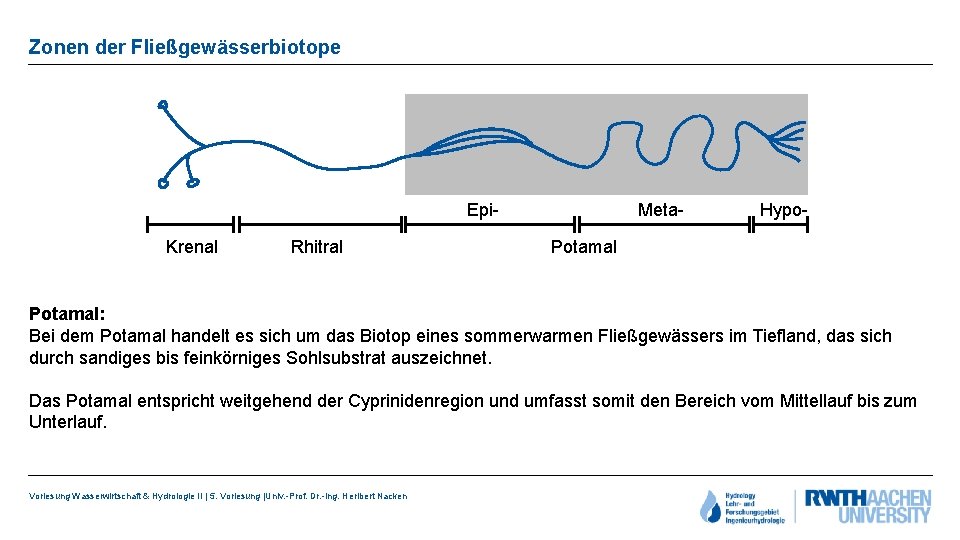 Zonen der Fließgewässerbiotope Epi- Krenal Rhitral Meta- Hypo- Potamal: Bei dem Potamal handelt es