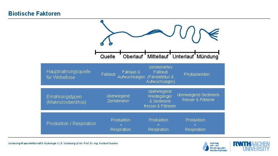 Biotische Faktoren Quelle Hauptnahrungsquelle für Wirbellose Ernährungstypen (Makrozoobenthos) Produktion / Respiration Oberlauf Mittellauf Unterlauf