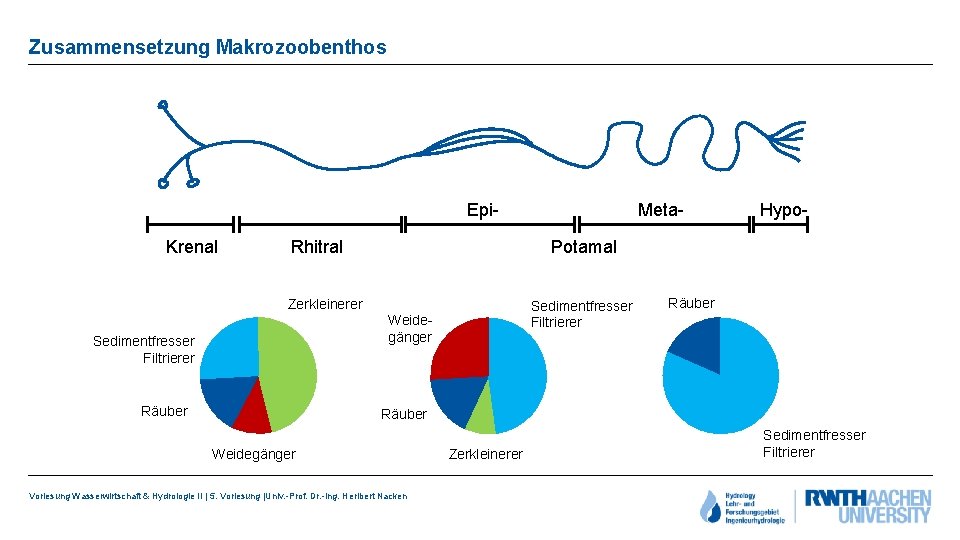 Zusammensetzung Makrozoobenthos Epi- Krenal Rhitral Sedimentfresser Filtrierer Weidegänger Räuber Hypo- Potamal Zerkleinerer Sedimentfresser Filtrierer