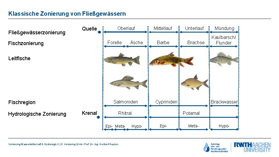 Klassische Zonierung von Fließgewässerzonierung Quelle Oberlauf Forelle Fischzonierung Äsche Mittellauf Barbe Unterlauf Brachse Mündung