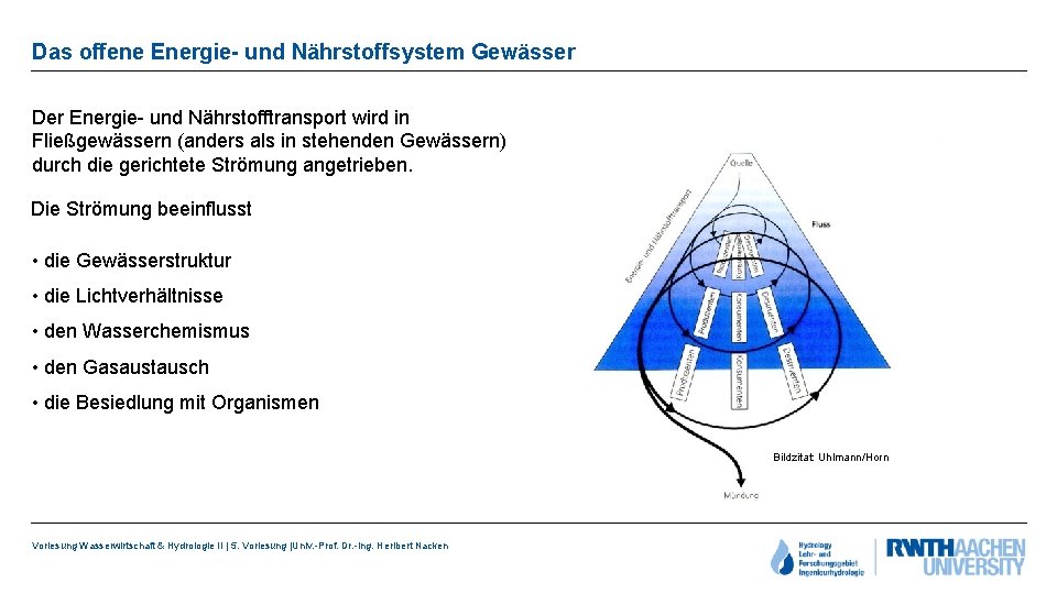 Das offene Energie- und Nährstoffsystem Gewässer Der Energie- und Nährstofftransport wird in Fließgewässern (anders