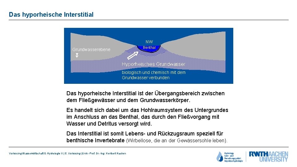 Das hyporheische Interstitial NW Benthal Grundwasserebene ▼ Hyporheisches Grundwasser biologisch und chemisch mit dem