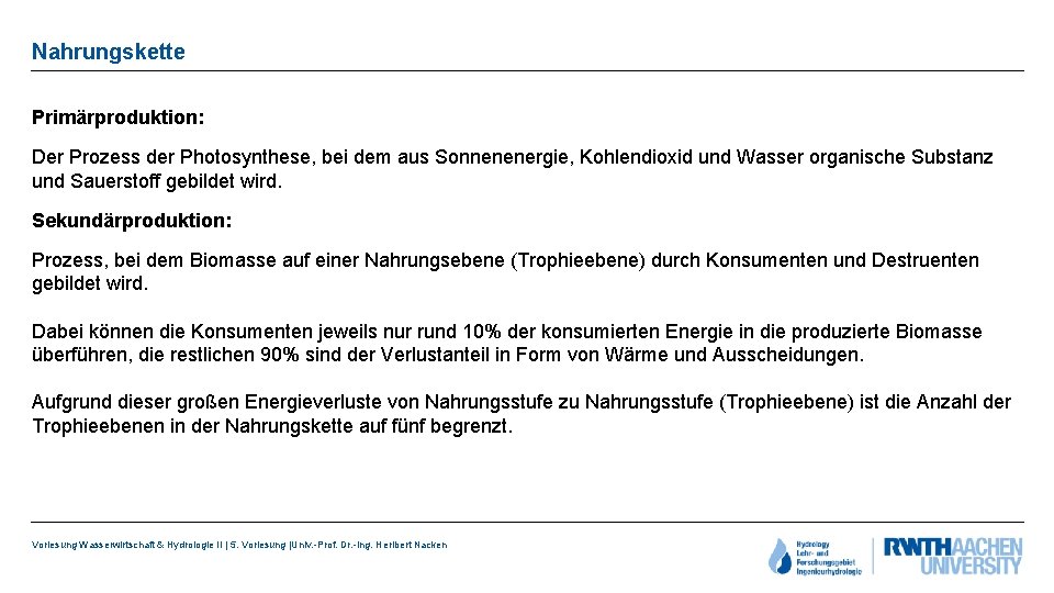 Nahrungskette Primärproduktion: Der Prozess der Photosynthese, bei dem aus Sonnenenergie, Kohlendioxid und Wasser organische