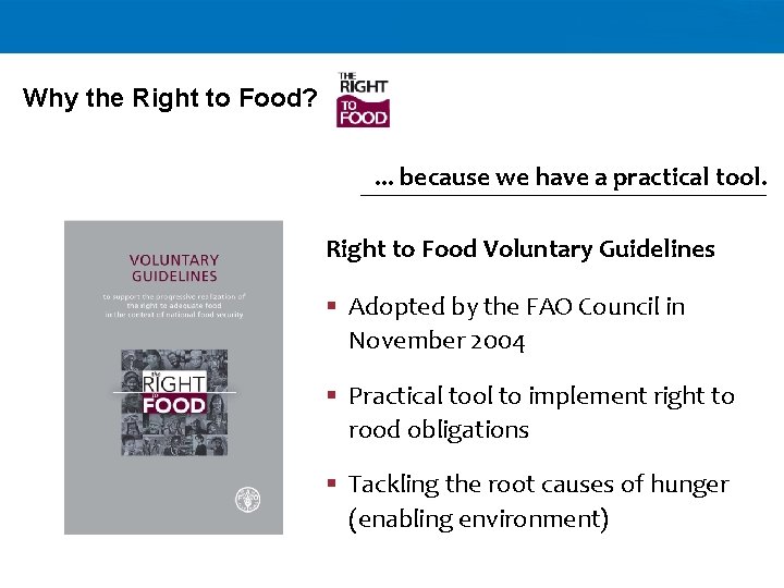 Why the Right to Food? . . . because we have a practical tool.