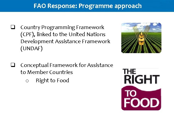 FAO Response: Programme approach q Country Programming Framework (CPF), linked to the United Nations