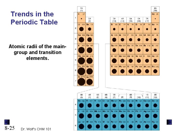 Trends in the Periodic Table Atomic radii of the maingroup and transition elements. 8