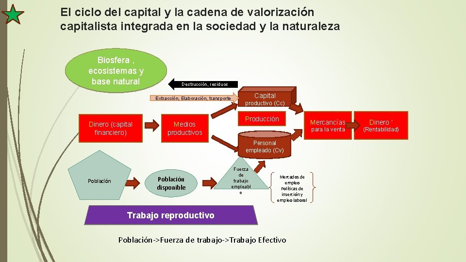 El ciclo del capital y la cadena de valorización capitalista integrada en la sociedad