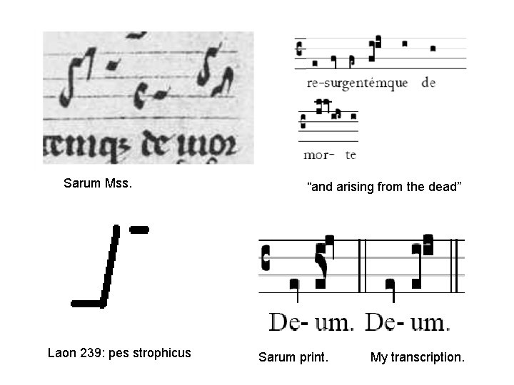 Sarum Mss. Laon 239: pes strophicus “and arising from the dead” Sarum print. My