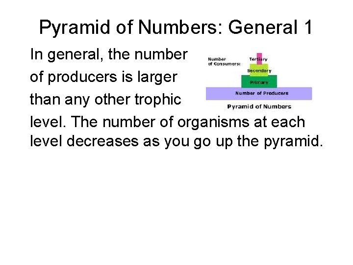 Pyramid of Numbers: General 1 In general, the number of producers is larger than Pyramid of Numbers: General 1 In general, the number of producers is larger than