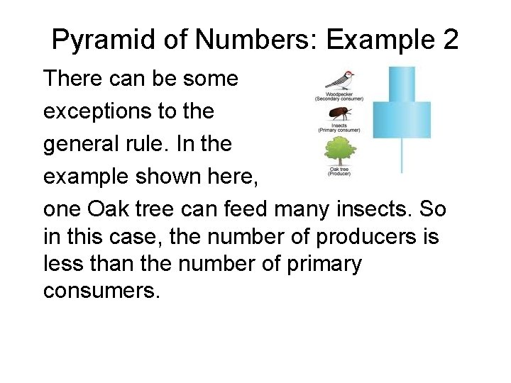 Pyramid of Numbers: Example 2 There can be some exceptions to the general rule. Pyramid of Numbers: Example 2 There can be some exceptions to the general rule.