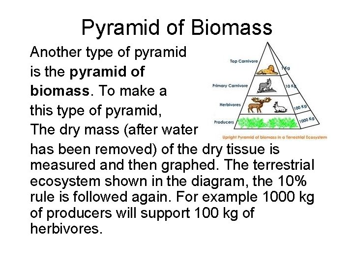 Pyramid of Biomass Another type of pyramid is the pyramid of biomass. To make Pyramid of Biomass Another type of pyramid is the pyramid of biomass. To make
