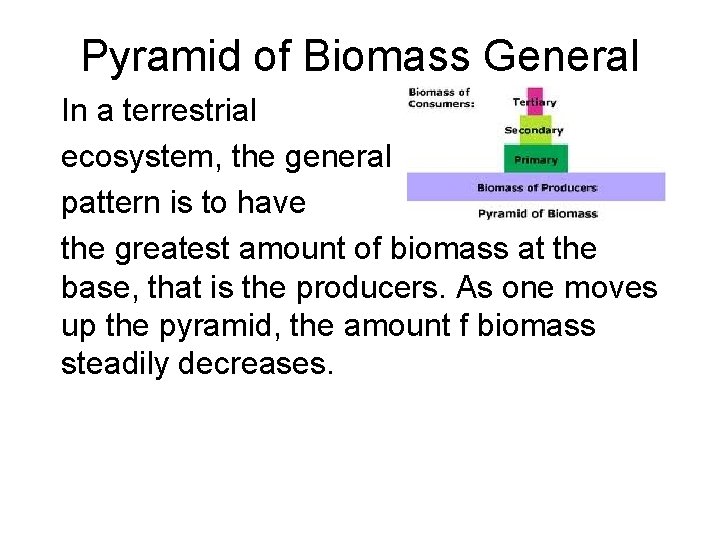 Pyramid of Biomass General In a terrestrial ecosystem, the general pattern is to have Pyramid of Biomass General In a terrestrial ecosystem, the general pattern is to have
