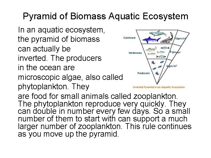 Pyramid of Biomass Aquatic Ecosystem In an aquatic ecosystem, the pyramid of biomass can Pyramid of Biomass Aquatic Ecosystem In an aquatic ecosystem, the pyramid of biomass can