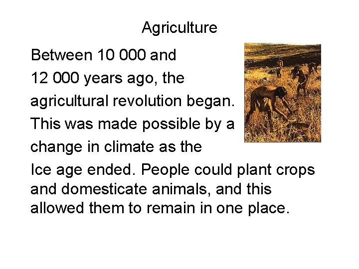 Agriculture Between 10 000 and 12 000 years ago, the agricultural revolution began. This Agriculture Between 10 000 and 12 000 years ago, the agricultural revolution began. This