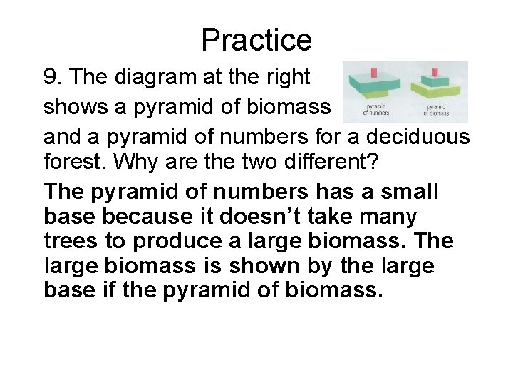 Practice 9. The diagram at the right shows a pyramid of biomass and a Practice 9. The diagram at the right shows a pyramid of biomass and a