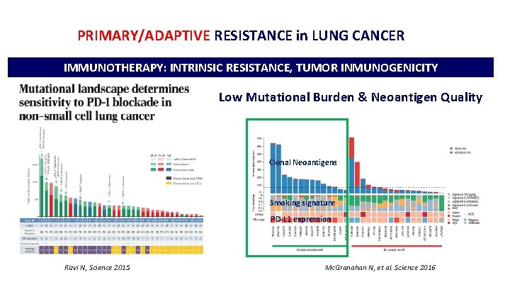 I ASEICA-ASPIC INTERNATIONAL MEETING PRIMARY/ADAPTIVE RESISTANCE in LUNG CANCER IMMUNOTHERAPY: INTRINSIC RESISTANCE, TUMOR INMUNOGENICITY