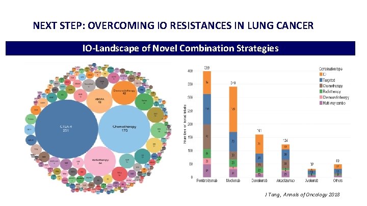 NEXT STEP: OVERCOMING IO RESISTANCES IN LUNG CANCER IO-Landscape of Novel Combination Strategies J
