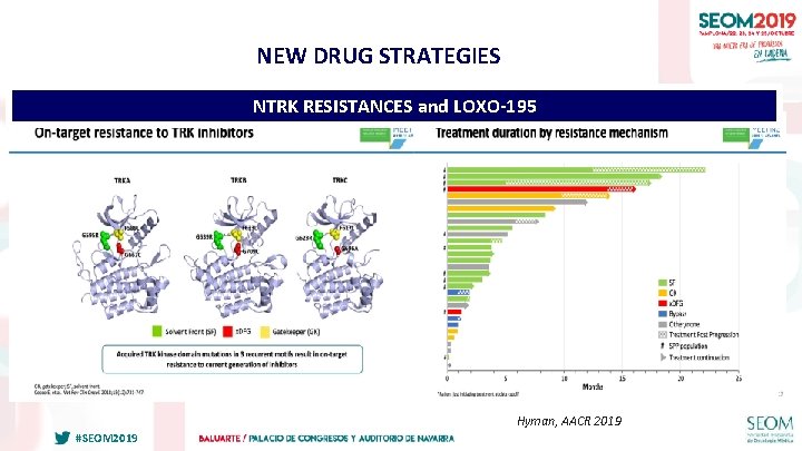 NEW DRUG STRATEGIES NTRK RESISTANCES and LOXO-195 Hyman, AACR 2019 #SEOM 2019 