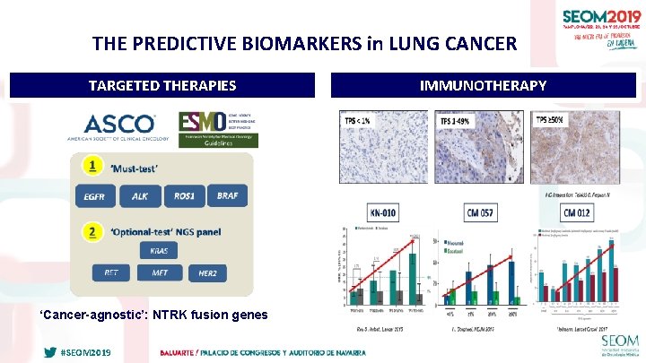 THE PREDICTIVE BIOMARKERS in LUNG CANCER TARGETED THERAPIES ‘Cancer-agnostic’: NTRK fusion genes #SEOM 2019