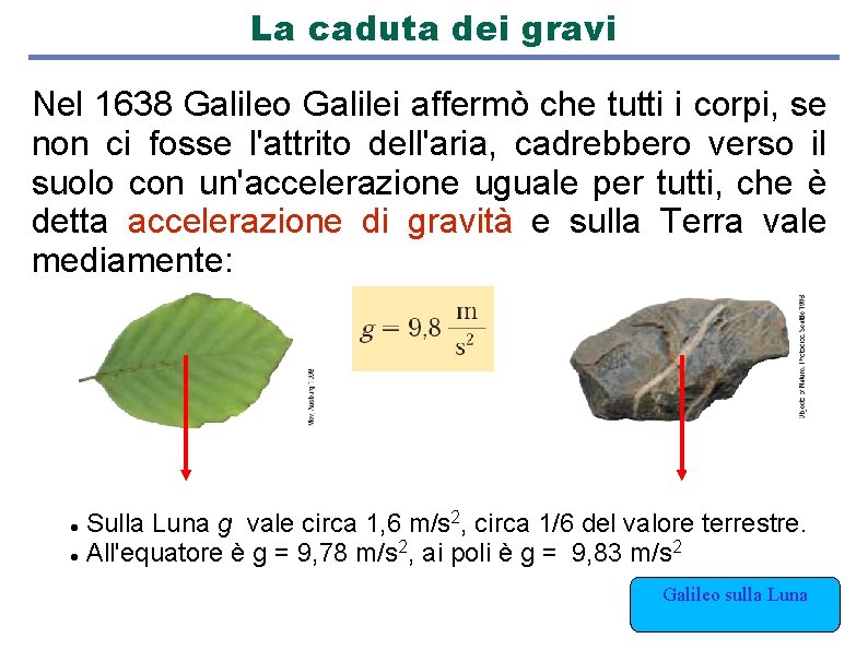 La caduta dei gravi Nel 1638 Galileo Galilei affermò che tutti i corpi, se