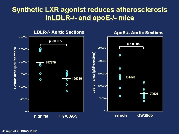 Synthetic LXR agonist reduces atherosclerosis in. LDLR-/- and apo. E-/- mice LDLR-/- Aortic Sections