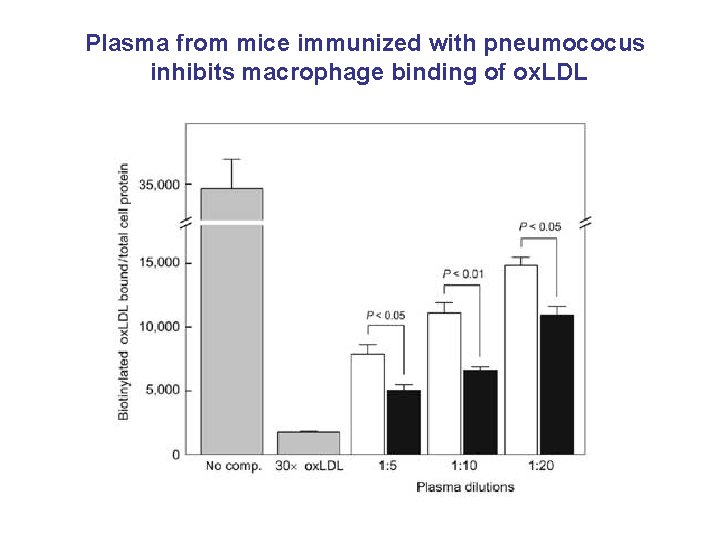 Plasma from mice immunized with pneumococus inhibits macrophage binding of ox. LDL 