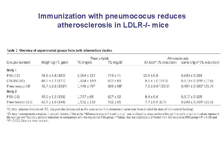 Immunization with pneumococus reduces atherosclerosis in LDLR-/- mice 