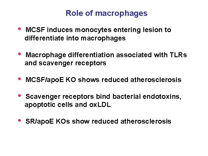 Role of macrophages • MCSF induces monocytes entering lesion to differentiate into macrophages •