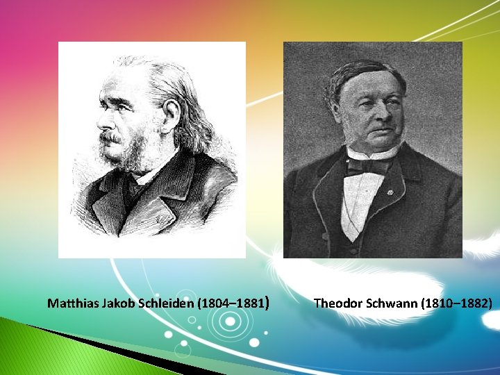 Matthias Jakob Schleiden (1804– 1881) Theodor Schwann (1810– 1882) Matthias Jakob Schleiden (1804– 1881) Theodor Schwann (1810– 1882)