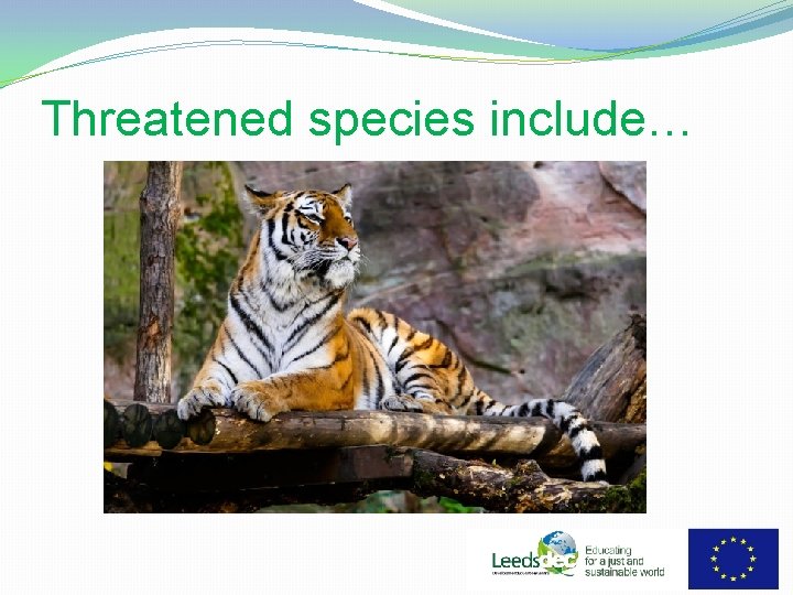 Threatened species include… 