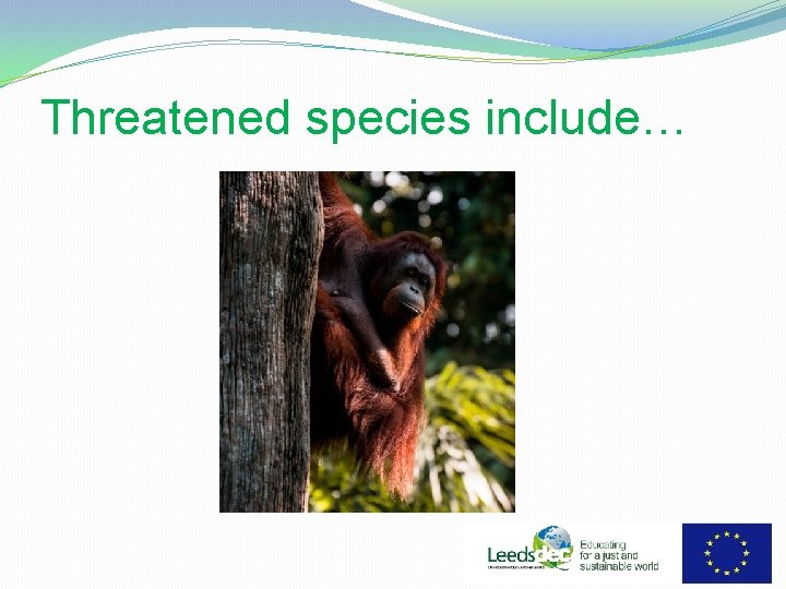 Threatened species include… 