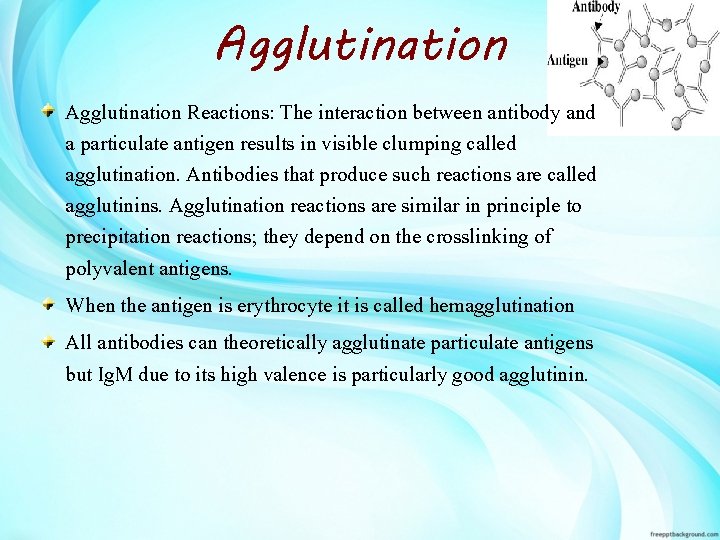 AntigenAntibody reactions Lets start The immune system is