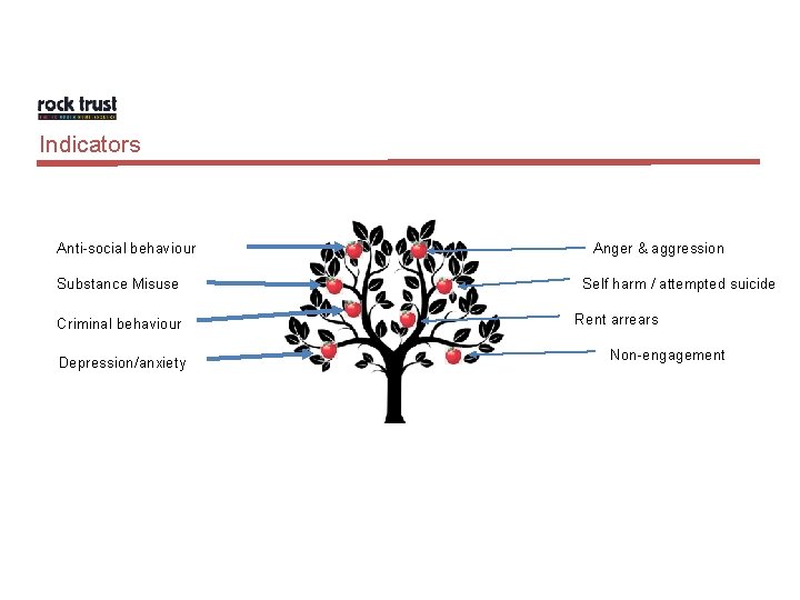 Indicators Anti-social behaviour Substance Misuse Criminal behaviour Depression/anxiety Anger & aggression Self harm /