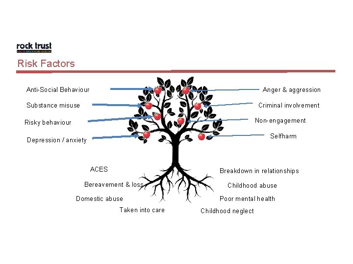 Risk Factors Anti-Social Behaviour Anger & aggression Substance misuse Criminal involvement Non-engagement Risky behaviour