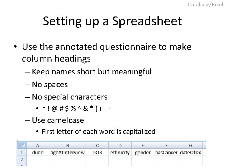 Database/Excel Setting up a Spreadsheet • Use the annotated questionnaire to make column headings