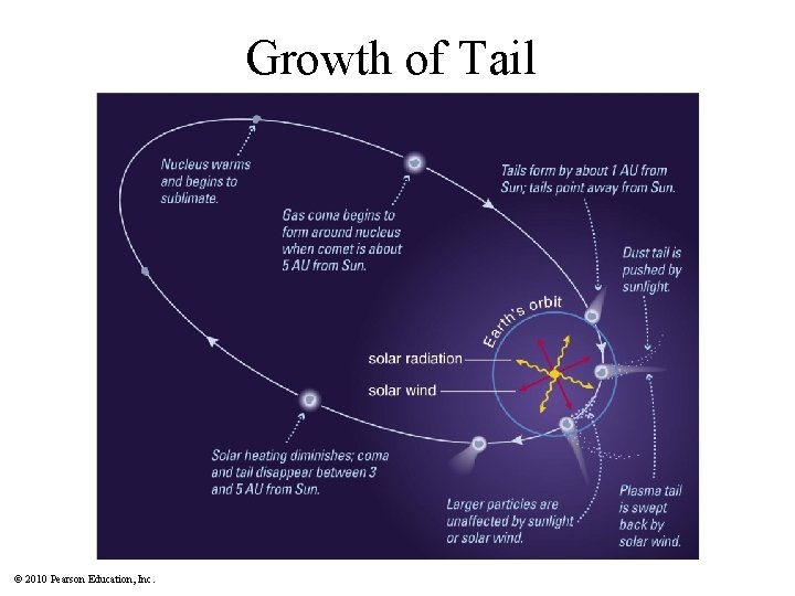 Growth of Tail © 2010 Pearson Education, Inc. 