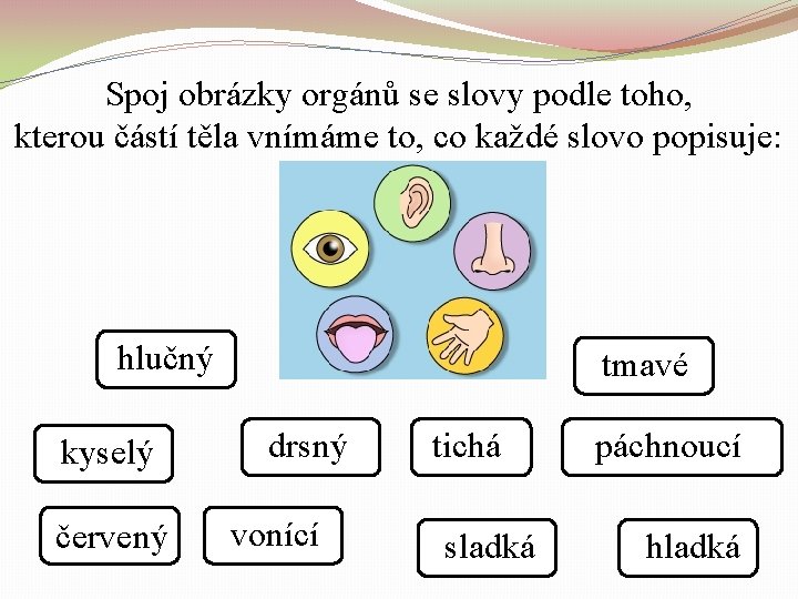 Spoj obrázky orgánů se slovy podle toho, kterou částí těla vnímáme to, co každé