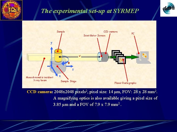 The experimental set-up at SYRMEP CCD camera Sample Scintillator Screen PC y d q