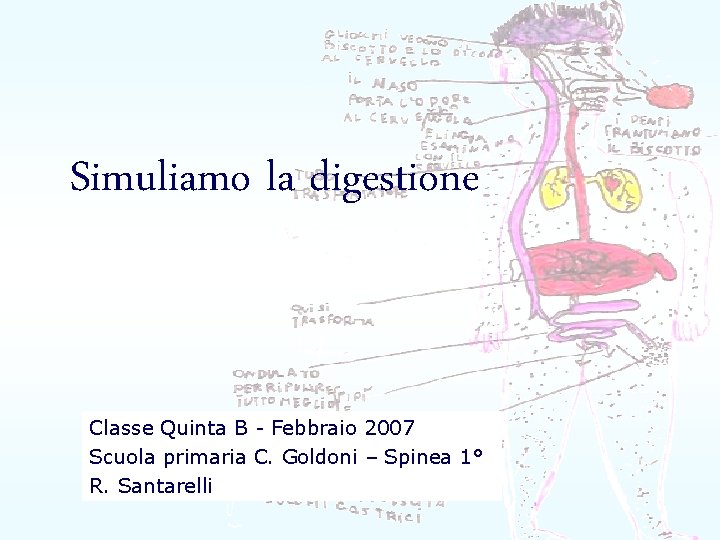 Simuliamo la digestione Classe Quinta B - Febbraio 2007 Scuola primaria C. Goldoni –