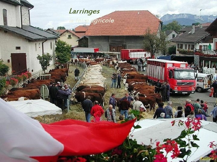 Larringes la foire agricole . 