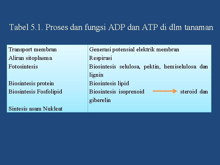 Tabel 5. 1. Proses dan fungsi ADP dan ATP di dlm tanaman Transport membran