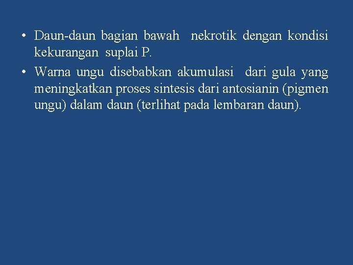  • Daun daun bagian bawah nekrotik dengan kondisi kekurangan suplai P. • Warna