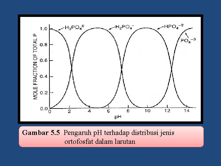 Gambar 5. 5 Pengaruh p. H terhadap distribusi jenis ortofosfat dalam larutan 